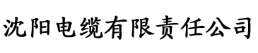 亚洲一二三四果冻传媒电缆厂logo